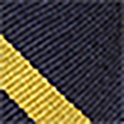 Navy/Gold