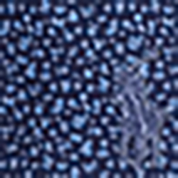 Tossed Navy Floral
