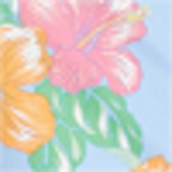 Hibiscus Tropical