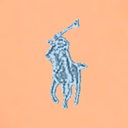 Fair Orange
