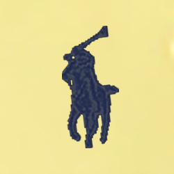 Signal Yellow