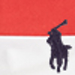 Americana Flag