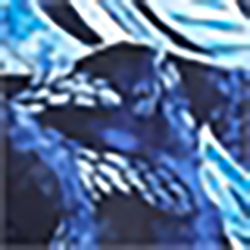 Angelfish