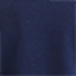 Cruise Navy