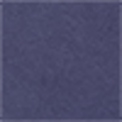 French Navy
