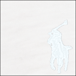 Bear Graphic Print