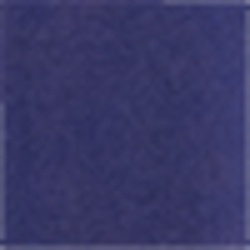 Bright Navy