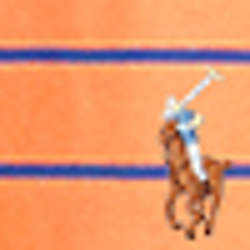 Beach Orange/Haven Blue