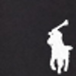 Polo Black