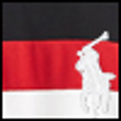 Polo Black Multi