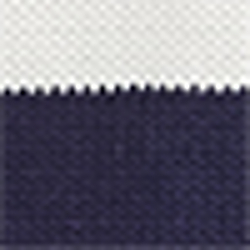 Navy/White