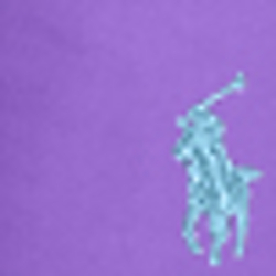 Tie Purple