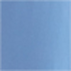 Blue Flower