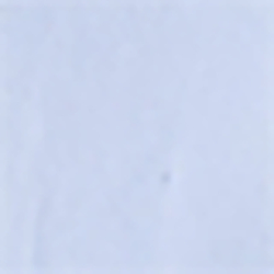 Blue Hyacinth