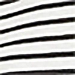 Deckbeizen-Wei&szlig;/Polo-Schwarz