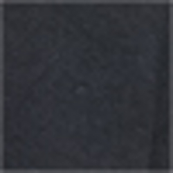 Polo Black