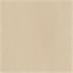 Coastal Beige