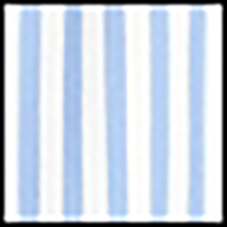 Chopin Blue/White
