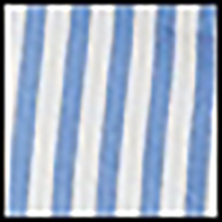 Chopin Blue/White