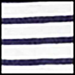 Cruise Navy/Nevis