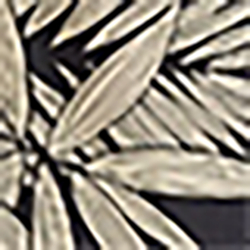 Hawaiian Floral