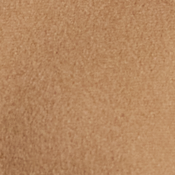 Cammello
