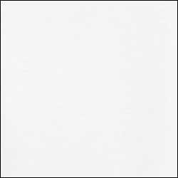 Optic White