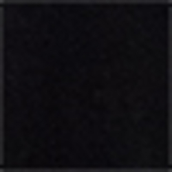 Polo Black