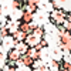 Blush Multi