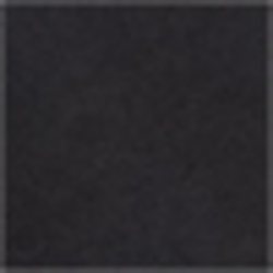 Polo Black
