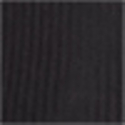 Polo Black