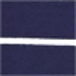 Navy/White