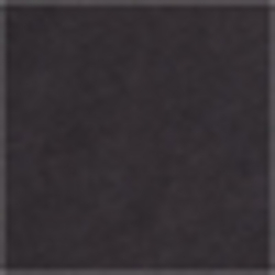 Polo Black