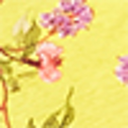 Yellow Multi