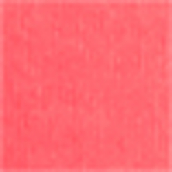 Pink Poppy
