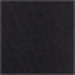 Polo Black