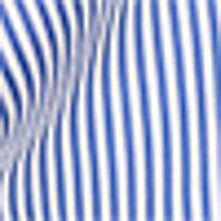 Blue/White