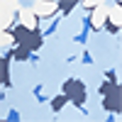 Blue Multi