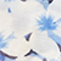 Blue Multi