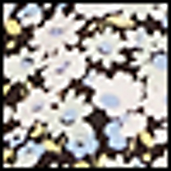 Blue Multi