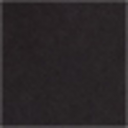 Polo Black