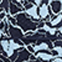 Blue/Navy