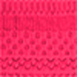 Pink Poppy