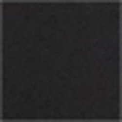 Polo Black