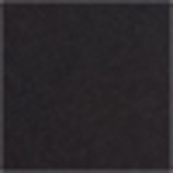 Polo Black