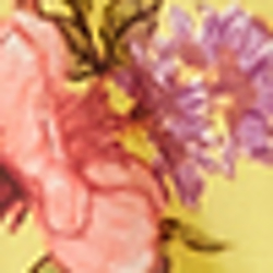 Yellow Multi