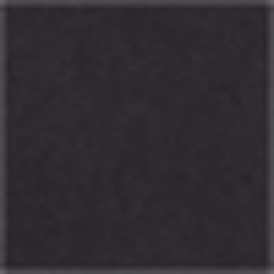 Polo Black