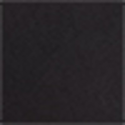 Polo Black