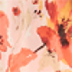Pink Poppy