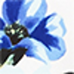 Cc/Blu/Mlt